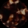 Reba Rose Petal Tort BNA773_C696OPT by Bailey Nelson